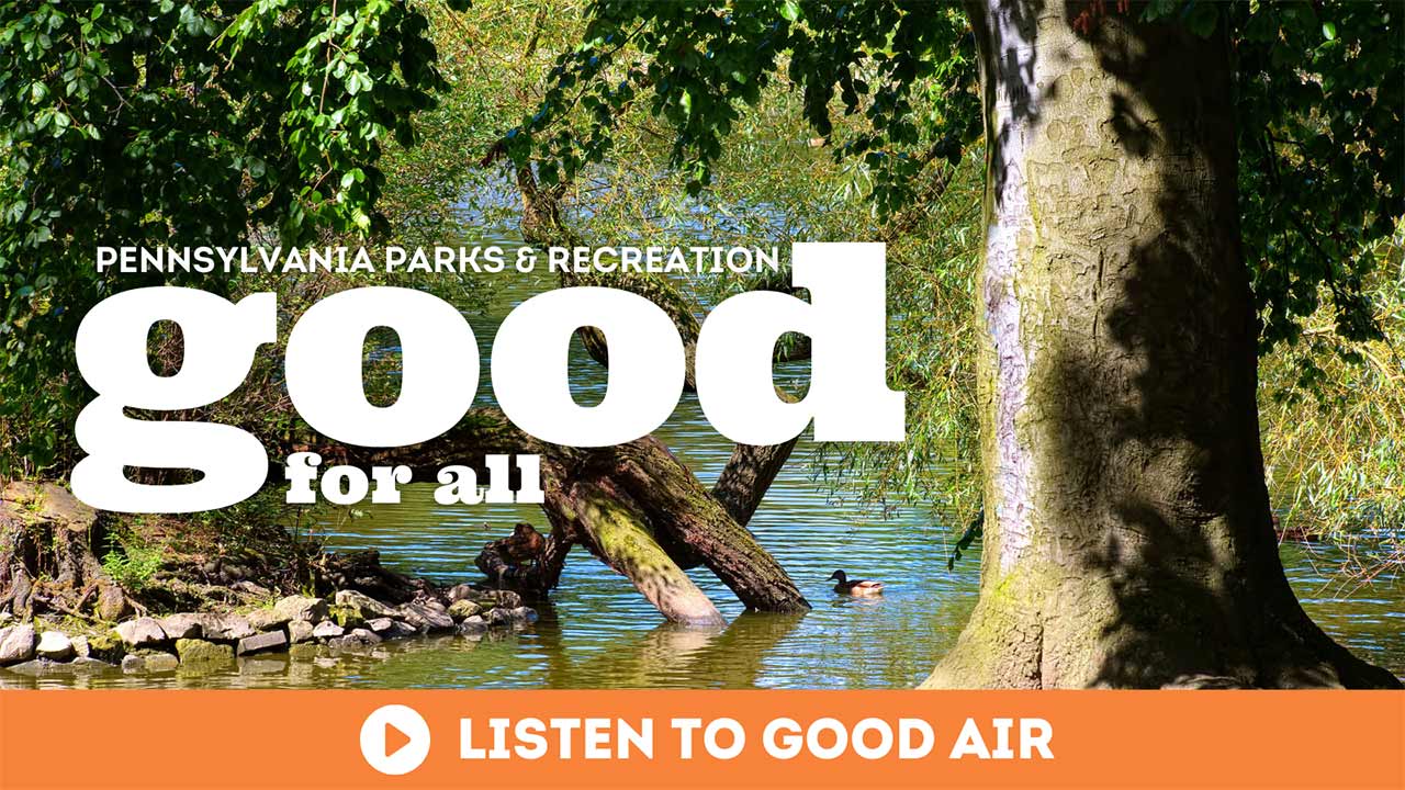 Good Air Podcast Good For All Duck floating on a pond in a tree-filled park
