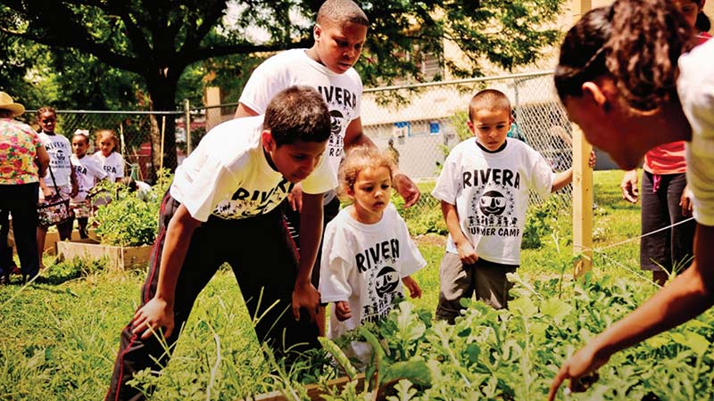 Young kids learning about gardening and park maintenance